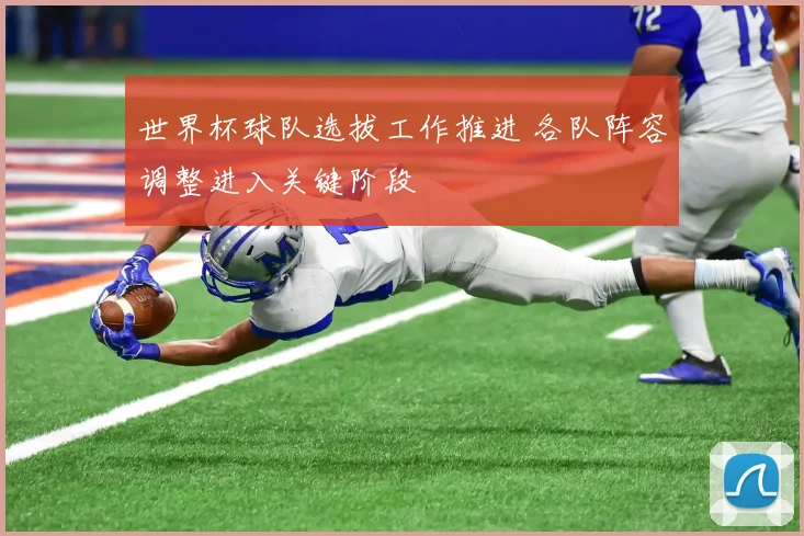 世界杯球队选拔工作推进 各队阵容调整进入关键阶段