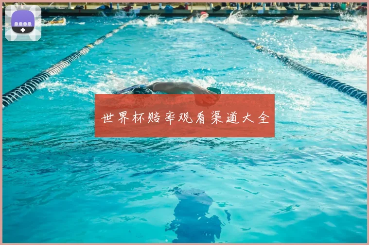 世界杯赔率观看渠道大全