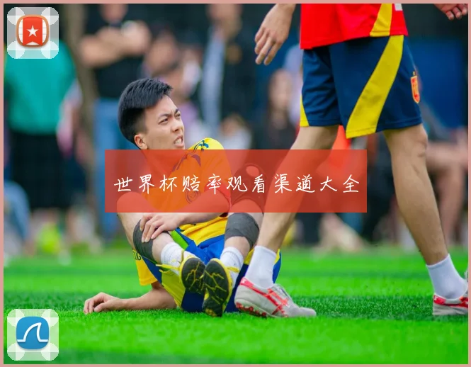 世界杯赔率观看渠道大全