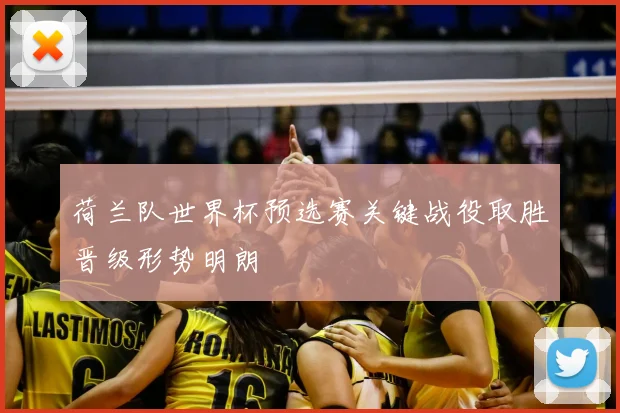 荷兰队世界杯预选赛关键战役取胜晋级形势明朗