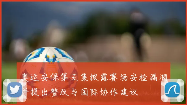 奥运安保第五集披露赛场安检漏洞并提出整改与国际协作建议