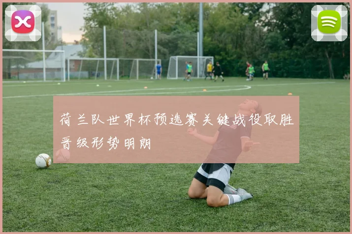 荷兰队世界杯预选赛关键战役取胜晋级形势明朗