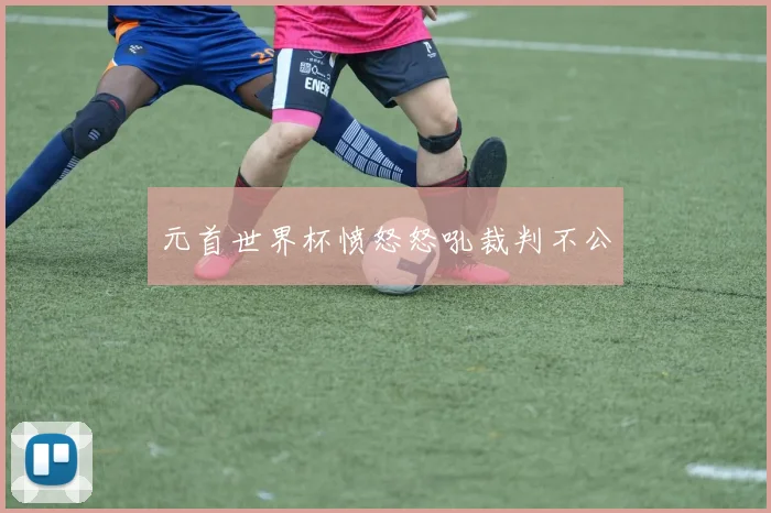 元首世界杯愤怒怒吼裁判不公