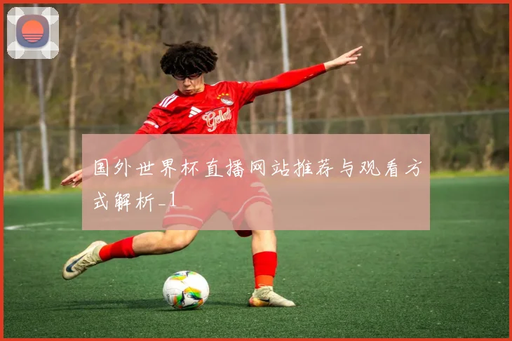 国外世界杯直播网站推荐与观看方式解析_1